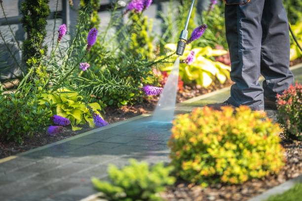 Best Parking Lot and Garage Cleaning  in Juno Beach, FL