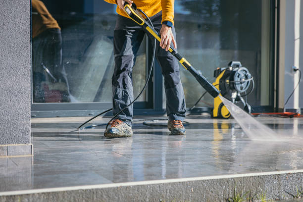 Best Driveway Pressure Washing  in Juno Beach, FL